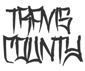 Font License for Travis County